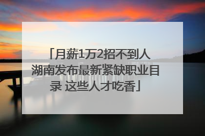 月薪1万2招不到人 湖南发布最新紧缺职业目录 这些人才吃香