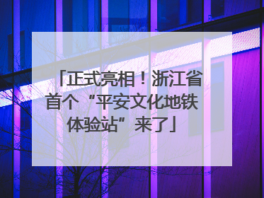 正式亮相！浙江省首个“平安文化地铁体验站”来了