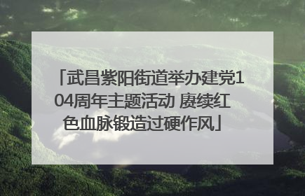 武昌紫阳街道举办建党104周年主题活动 赓续红色血脉锻造过硬作风