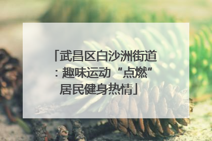 武昌区白沙洲街道：趣味运动“点燃”居民健身热情