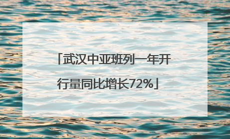 武汉中亚班列一年开行量同比增长72%