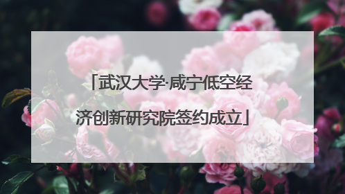 武汉大学·咸宁低空经济创新研究院签约成立