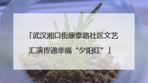 武汉湘口街康泰路社区文艺汇演传递幸福“夕阳红”