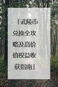 武陵币兑换全攻略及高价值权益收获指南