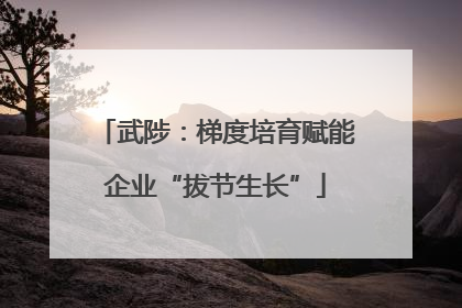 武陟：梯度培育赋能企业“拔节生长”