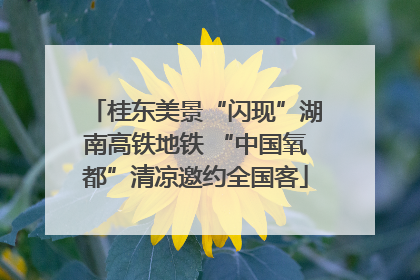 桂东美景“闪现”湖南高铁地铁 “中国氧都”清凉邀约全国客