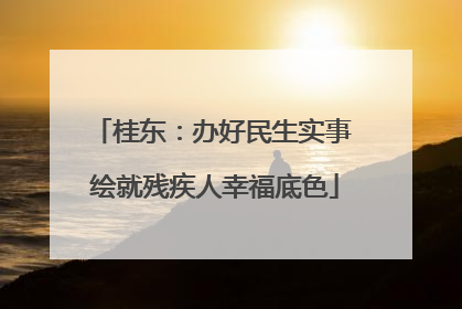 桂东：办好民生实事 绘就残疾人幸福底色