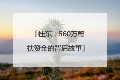 桂东：560万帮扶资金的背后故事