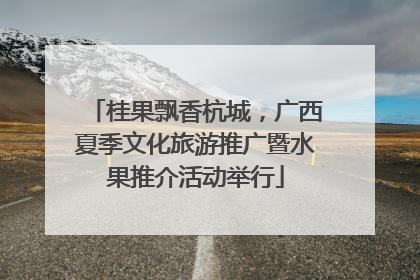 桂果飘香杭城，广西夏季文化旅游推广暨水果推介活动举行