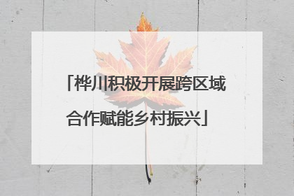 桦川积极开展跨区域合作赋能乡村振兴