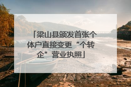 梁山县颁发首张个体户直接变更“个转企”营业执照