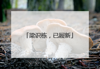 梁识栋，已履新