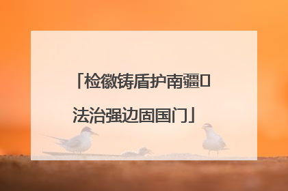 检徽铸盾护南疆 法治强边固国门