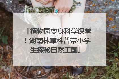 植物园变身科学课堂！湖南林草科普带小学生探秘自然王国