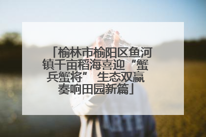 榆林市榆阳区鱼河镇千亩稻海喜迎“蟹兵蟹将” 生态双赢奏响田园新篇