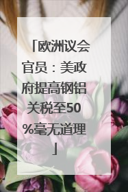 欧洲议会官员：美政府提高钢铝关税至50%毫无道理