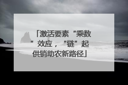 激活要素“乘数”效应，“链”起供销助农新路径