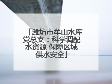 潍坊市牟山水库党总支：科学调配水资源 保障区域供水安全