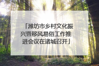 潍坊市乡村文化振兴暨移风易俗工作推进会议在诸城召开
