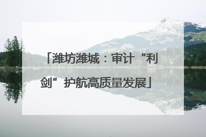 潍坊潍城：审计“利剑”护航高质量发展