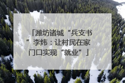 潍坊诸城“兵支书”李炜：让村民在家门口实现“就业”