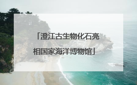澄江古生物化石亮相国家海洋博物馆