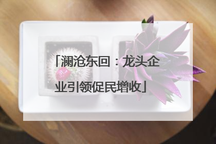 澜沧东回：龙头企业引领促民增收