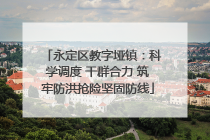 永定区教字垭镇：科学调度 干群合力 筑牢防洪抢险坚固防线