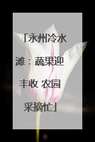 永州冷水滩：蔬果迎丰收 农园采摘忙