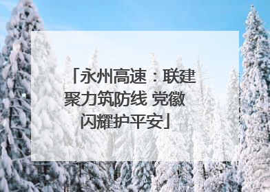 永州高速：联建聚力筑防线 党徽闪耀护平安