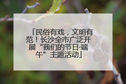 民俗有戏，文明有范！长沙全市广泛开展“我们的节日·端午”主题活动