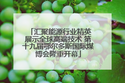 汇聚能源行业精英 展示全球高端技术 第十九届鄂尔多斯国际煤博会隆重开幕