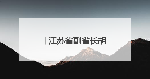 江苏省副省长胡彬郴，分工明确