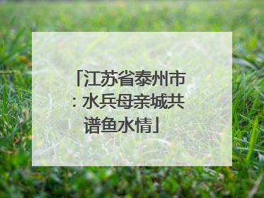 江苏省泰州市：水兵母亲城共谱鱼水情