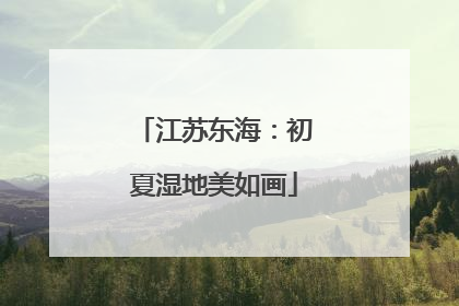 江苏东海：初夏湿地美如画