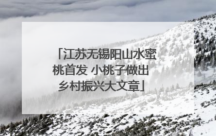 江苏无锡阳山水蜜桃首发 小桃子做出乡村振兴大文章