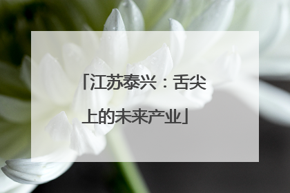 江苏泰兴：舌尖上的未来产业