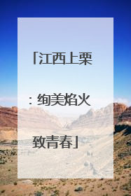 江西上栗：绚美焰火致青春