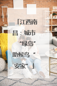 江西南昌：城市“绿岛”助候鸟“安家”