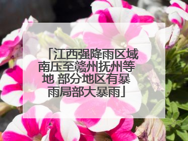 江西强降雨区域南压至赣州抚州等地 部分地区有暴雨局部大暴雨