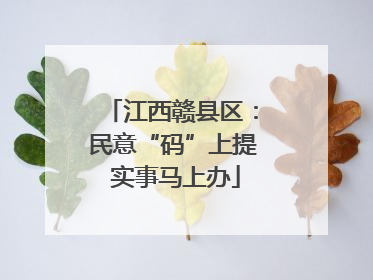 江西赣县区：民意“码”上提 实事马上办