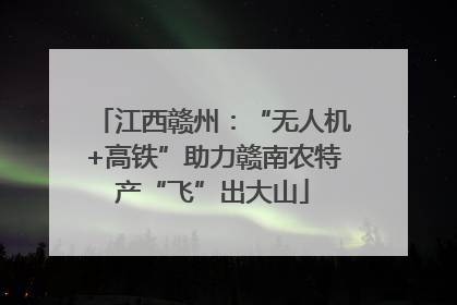 江西赣州：“无人机+高铁”助力赣南农特产“飞”出大山
