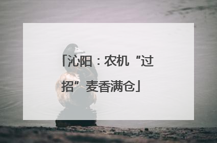 沁阳：农机“过招”麦香满仓