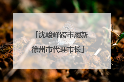 沈峻峰跨市履新徐州市代理市长