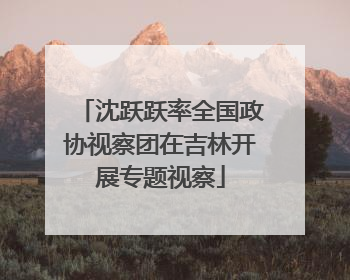 沈跃跃率全国政协视察团在吉林开展专题视察