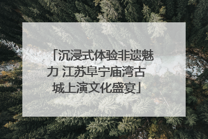 沉浸式体验非遗魅力 江苏阜宁庙湾古城上演文化盛宴