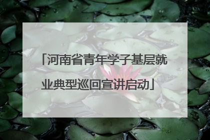 河南省青年学子基层就业典型巡回宣讲启动