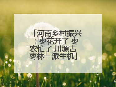 河南乡村振兴：枣花开了 枣农忙了 川塬古枣林一派生机