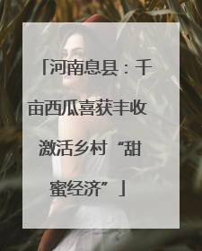 河南息县：千亩西瓜喜获丰收 激活乡村“甜蜜经济”