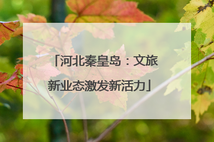 河北秦皇岛：文旅新业态激发新活力